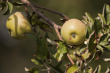 Similar image 5521636