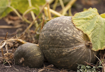 Similar image 5521637