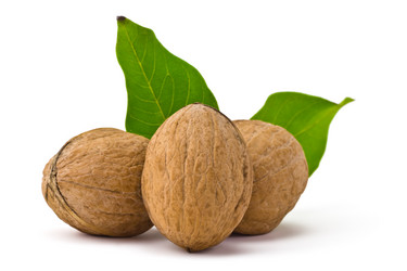 Similar image 5521653