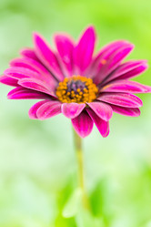 Similar image 5521781