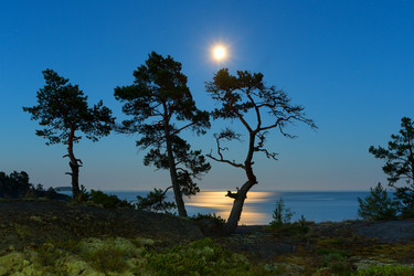 Similar image 5521918