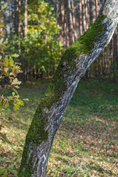 Similar image 5522040