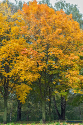 Similar image 5522041