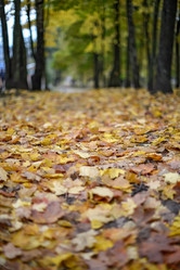 Similar image 5522055