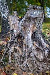 Similar image 5522057