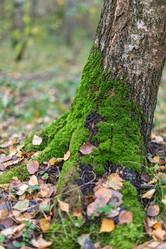 Similar image 5522059