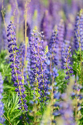 Similar image 5522348