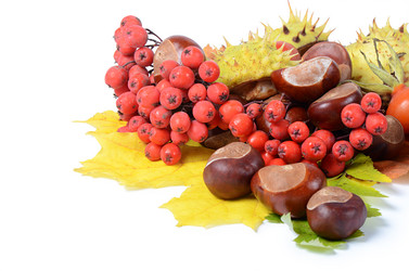 Similar image 5522381