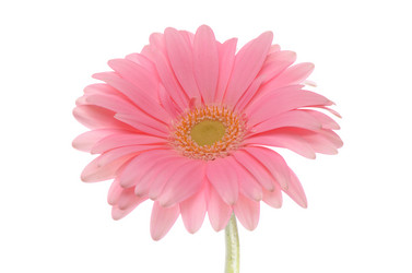 Similar image 5522383