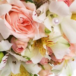 Similar image 5522387