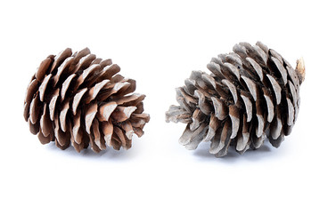 Similar image 5522389