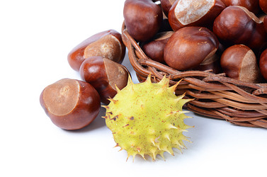 Similar image 5522390