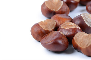 Similar image 5522398