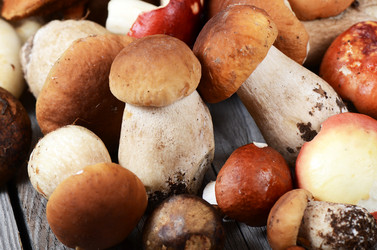 Similar image 5522424