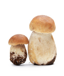 Similar image 5522426