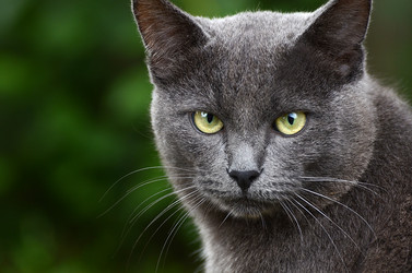 Similar image 5522434