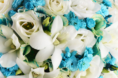 Similar image 5522461