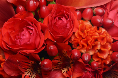 Similar image 5522462