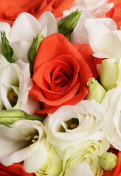 Similar image 5522465