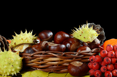 Similar image 5522476