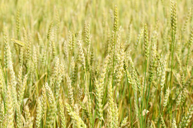 Similar image 5522505