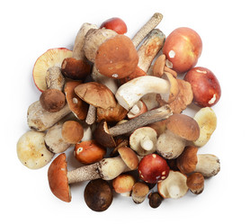 Similar image 5522546