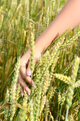 Similar image 5522552