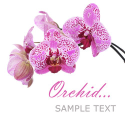 Similar image 5522555