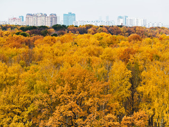 Similar image 5522570