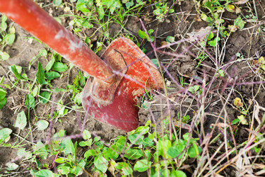 Similar image 5522630