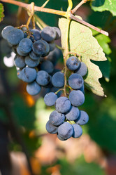 Similar image 5522631