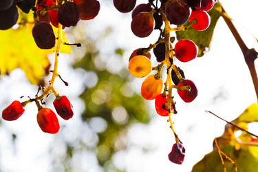 Similar image 5522639