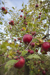 Similar image 5522721