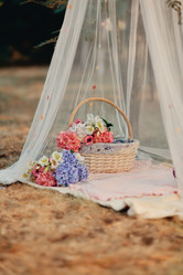 Similar image 5522858