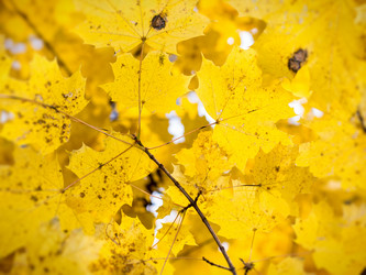 Similar image 5522901