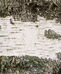 Similar image 5522926