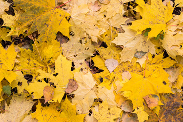 Similar image 5522927