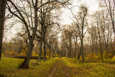 Similar image 5522945