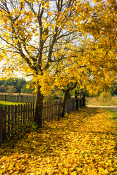 Similar image 5522946