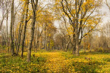 Similar image 5522948