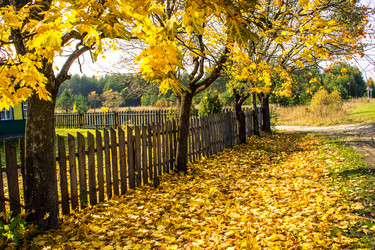 Similar image 5522949