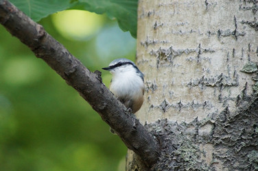 Similar image 5522965