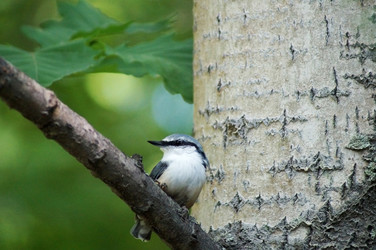 Similar image 5522966