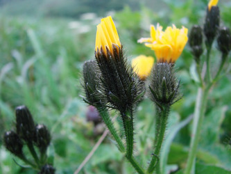 Similar image 5522967