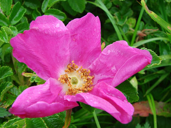 Similar image 5522968