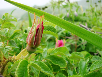 Similar image 5522969