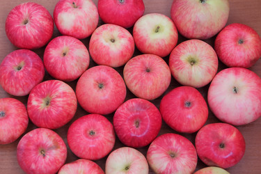 Similar image 5522994