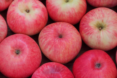 Similar image 5522996