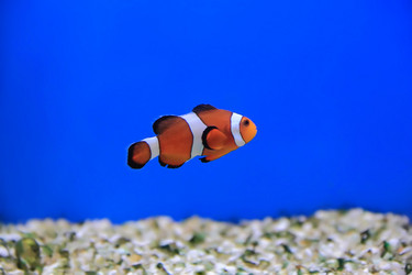 Similar image 5522998