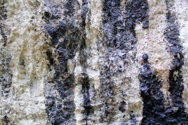 Similar image 5523030